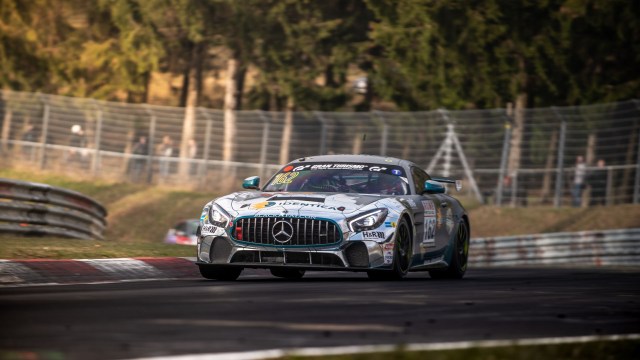 Tim Scheerbarth Images 2019
